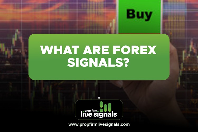 What are Forex Signals