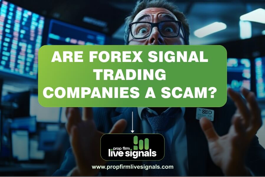 Are forex signal trading companies a scam