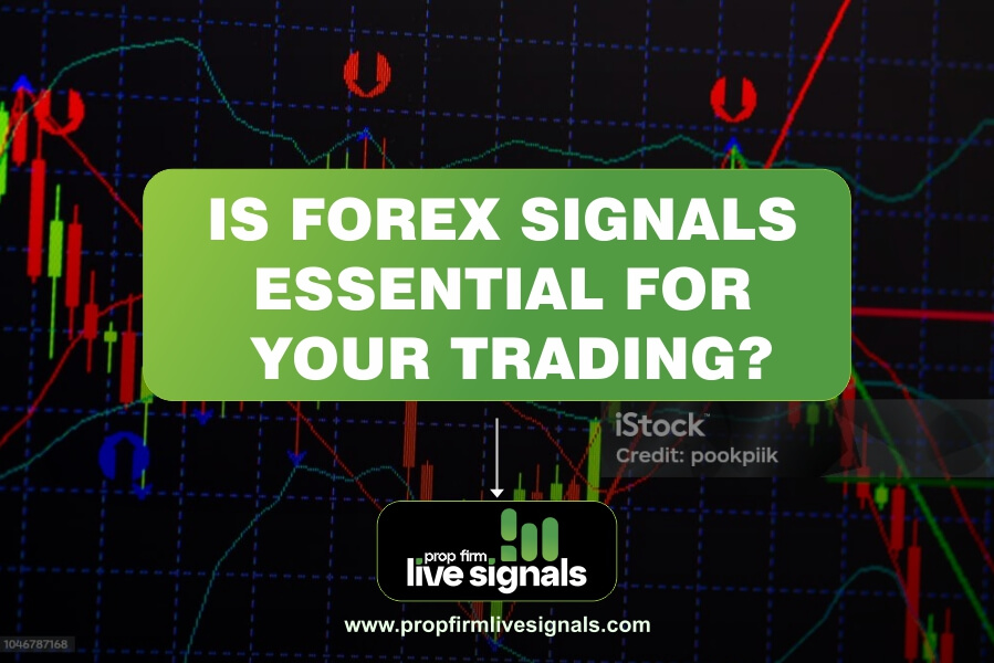 Is forex signals essential for your trading?