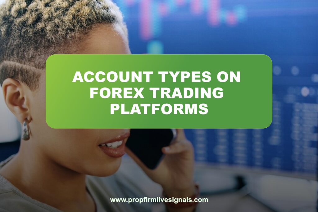 Account types on Forex trading platforms