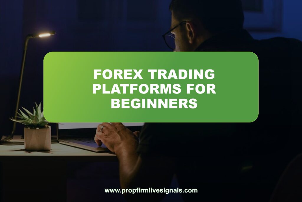 Best Forex trading platforms for beginners